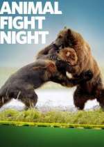 Watch Animal Fight Night Tvmuse