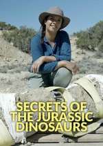 Watch Secrets of the Jurassic Dinosaurs Tvmuse