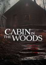 Watch Cabin in the Woods Tvmuse