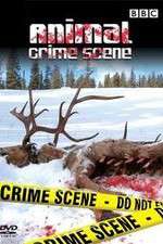 Watch Animal Crime Scene Tvmuse