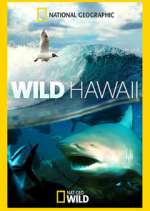 Watch Wild Hawaii Tvmuse