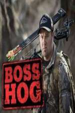 Watch Boss Hog Tvmuse