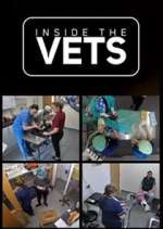 Watch Inside the Vets Tvmuse