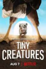 Watch Tiny Creatures Tvmuse