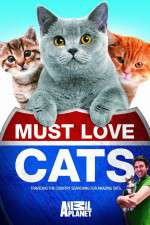 Watch Must Love Cats Tvmuse