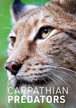 Watch Carpathian Predators Tvmuse