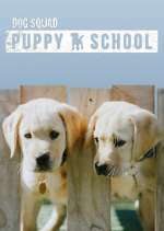Watch Dog Squad: Puppy School Tvmuse