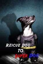 Watch Rescue Dog to Super Dog Tvmuse