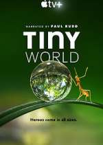 Watch Tiny World Tvmuse