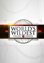 Watch World's Wildest Police Videos Tvmuse