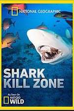 Watch Shark Kill Zone Tvmuse