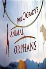 Watch Paul O'Grady's Animal Orphans Tvmuse