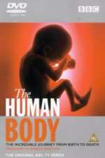 Watch The Human Body Tvmuse