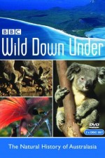 Watch Wild Down Under Tvmuse