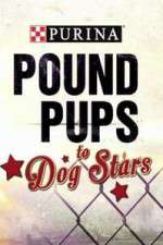 Watch Purina Pound Pups To Dog Stars Tvmuse