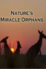 Watch Nature's Miracle Orphans Tvmuse