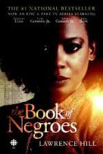 Watch The Book of Negroes Tvmuse