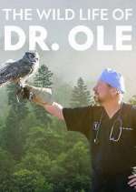 Watch The Wild Life of Dr. Ole Tvmuse