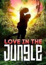 Watch Love in the Jungle Tvmuse