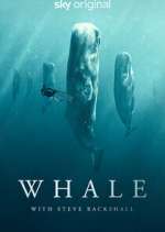 Watch Whale with Steve Backshall Tvmuse