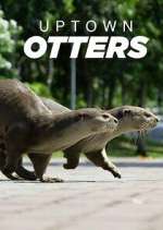 Watch Uptown Otters Tvmuse