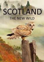 Watch Scotland - The New Wild Tvmuse