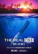 Watch The Real CSI: Miami Tvmuse