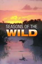 Watch Seasons of the Wild Tvmuse