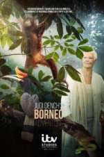 Watch Judi Dench\'s Wild Borneo Adventure Tvmuse