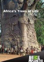 Watch Africa's Trees of Life Tvmuse