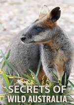 Watch Secrets of Wild Australia Tvmuse