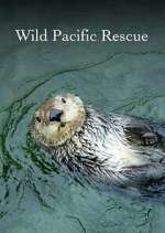 Watch Wild Pacific Rescue Tvmuse