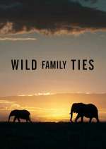 Watch Wild Family Ties Tvmuse