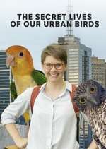 Watch The Secret Lives of Our Urban Birds Tvmuse