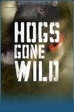Watch Hogs Gone Wild Tvmuse