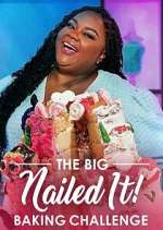 Watch The Big Nailed It! Baking Challenge Tvmuse