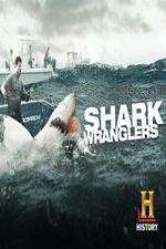 Watch Shark Wranglers Tvmuse