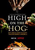 Watch High on the Hog: How African American Cuisine Transformed America Tvmuse