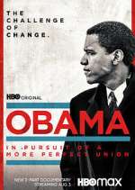 Watch Obama: In Pursuit of a More Perfect Union Tvmuse