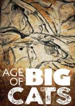 Watch Age of Big Cats Tvmuse