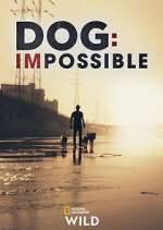 Watch Dog: Impossible Tvmuse