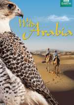 Watch Wild Arabia Tvmuse