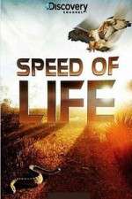 Watch Discovery Channel Speed Of Life Tvmuse