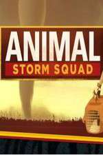 Watch Animal Storm Squad Tvmuse