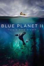 Watch Blue Planet II Tvmuse