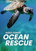 Watch Gold Coast Ocean Rescue Tvmuse