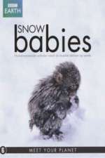 Watch Snow Babies Tvmuse