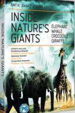 Watch Inside Nature's Giants Tvmuse