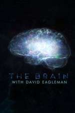 Watch The Brain with Dr David Eagleman Tvmuse