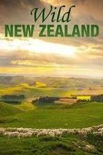 Watch Wild New Zealand Tvmuse